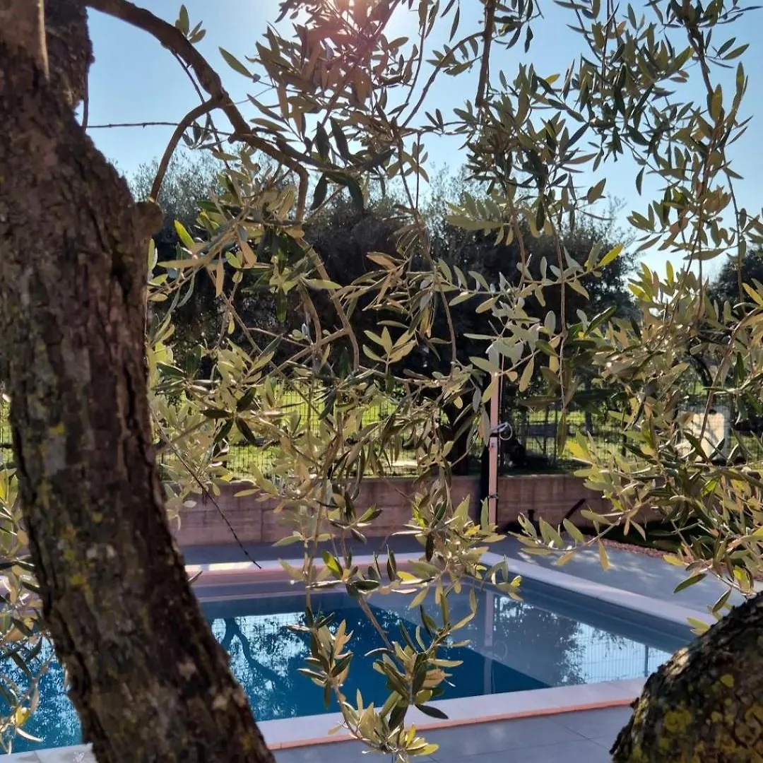 Relais La Terrazza Villa Bussolengo